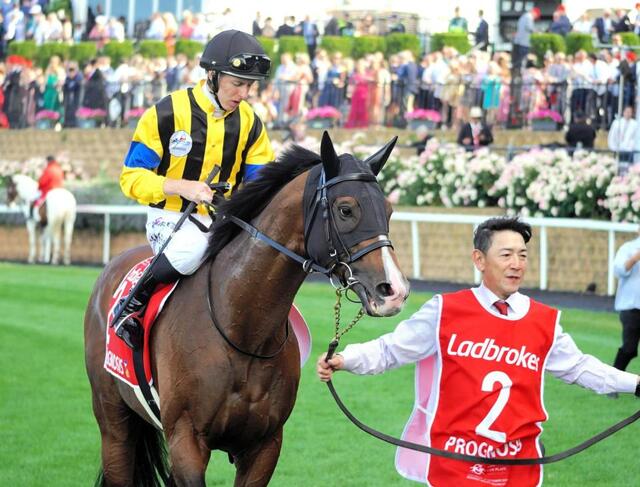コックスプレート 2024 プログノーシス キャップ 社台 一口馬主 競馬 コックスプレート | 2024 Cox Plate | Prognosis, Via Sistina ・豪