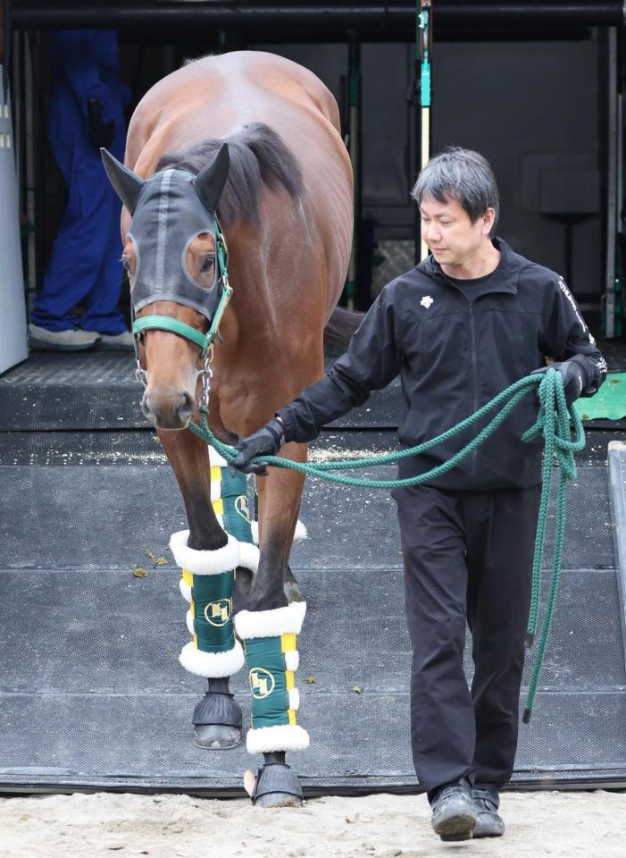 　東京競馬場に到着したベラジオオペラ