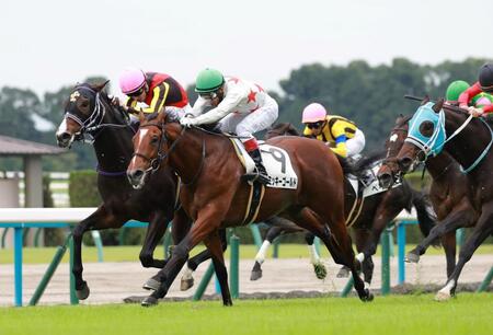 　新馬戦を制したミッキーゴールド（撮影・石湯恒介）