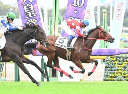 　新馬戦を制したルージュラナキラ（撮影・園田高夫）