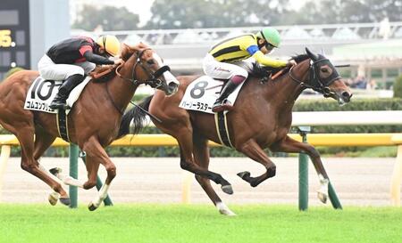 　新馬戦を制したパーリーラスター（右）＝撮影・園田高夫