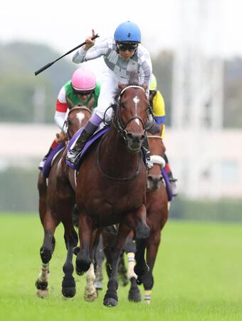 　天皇賞・秋を勝利したドウデュースと、馬上でガッツポーズする武豊