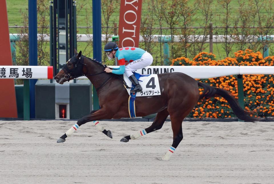 　新馬戦を制したヴィリアリート（撮影・石湯恒介）