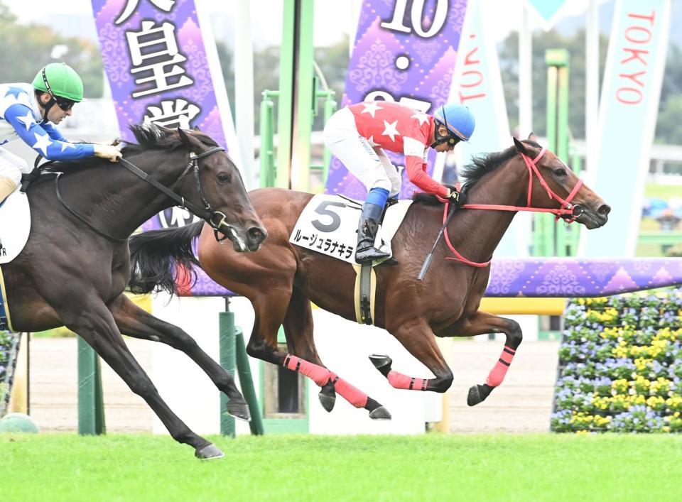 　新馬戦を制したルージュラナキラ（撮影・園田高夫）