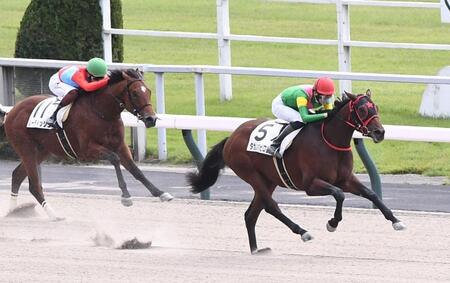 　２歳新馬戦を制したタガノバビロン（右）＝撮影・園田高夫