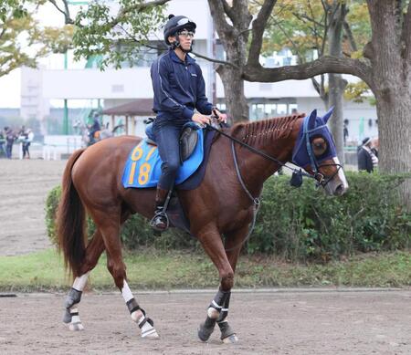 【みやこＳ】オメガギネス　体しっかり仕上がり順調　悲願の重賞初Ｖで大舞台も視野に　大和田師「今は目の前のレースを」