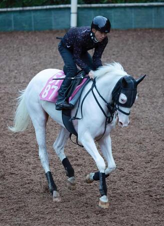 【ファンタジーＳ】白毛馬ゴージャス　いざゆけ女王への道！無傷２連勝で重賞Ｖだ　四位師「いい仕上がり」