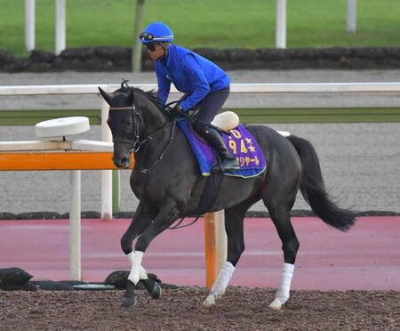 【ＢＣターフ】シャフリヤール　３枠３番からリベンジだ　今井助手「馬の雰囲気いい」