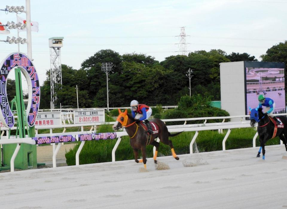 　地方競馬最多重賞勝利タイ記録の２５勝目を挙げたハクサンアマゾネス（左）＝撮影・中山伸治