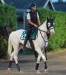 【ファンタジーＳ】白毛馬ゴージャス　馬場苦にせず馬なりで鋭伸　四位師「距離短縮も良い」