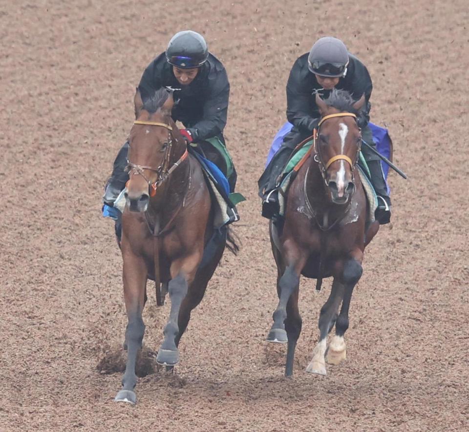 　ディオスバリエンテ（左）と併せ馬で追われるヒシアマン