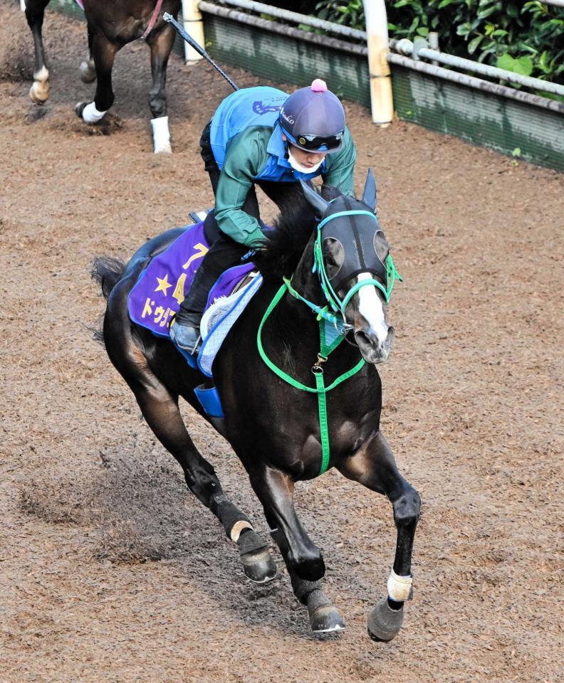 　栗東坂路を駆け上がるドゥラエレーデ（撮影・今井雅貴）