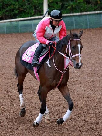 【新馬戦】エスタンシア　姉譲りのスピードでロケットスタート期待　松下師「ゲートがほんまに速い」