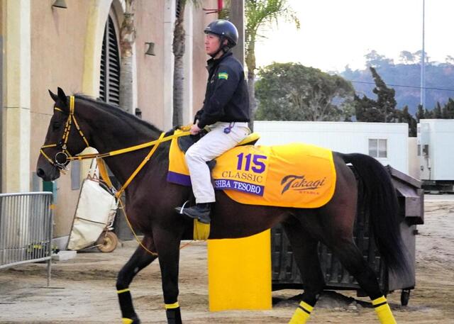 BCクラシック】ウシュバテソーロ ドバイV再現で再び快挙へ 高木師