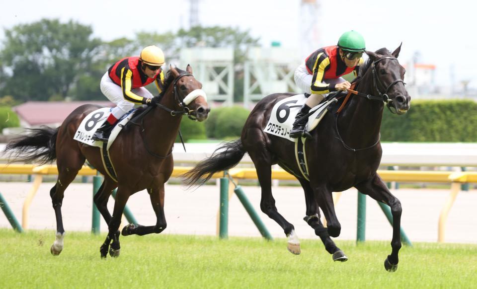 東スポ杯２歳Ｓを予定しているクロワデュノール（右）