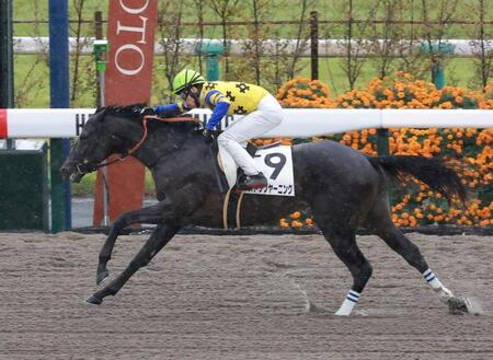 【新馬戦】ストップヤーニング　断トツの上がりで２馬身半差Ｖ　長岡ＪＲＡ１００勝達成「いい競馬だった」