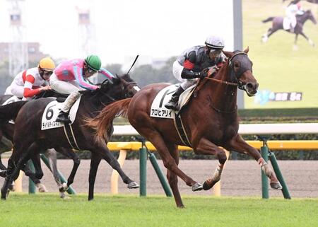 　新馬戦を制したアロヒアリイ（右）＝撮影・園田高夫