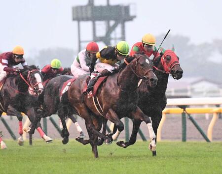 【京王杯２歳Ｓ】伏兵パンジャタワー　重賞初Ｖ！