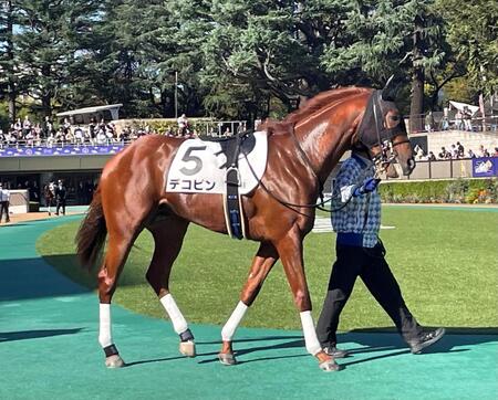 競馬界のデコピンは初制覇ならず…11着でも大野騎手「工夫すれば勝つことができる」