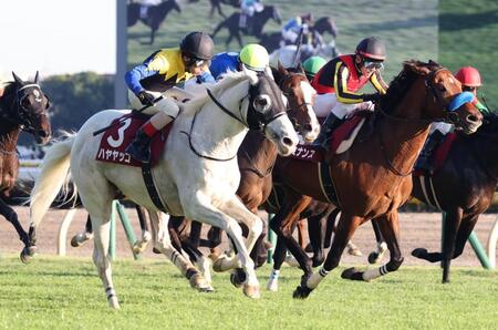 　大外から差し切るハヤヤッコ（手前）