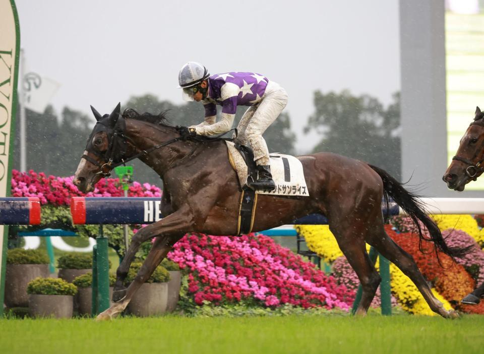 　新馬戦を快勝したサウンドサンライズ（撮影・石湯恒介）