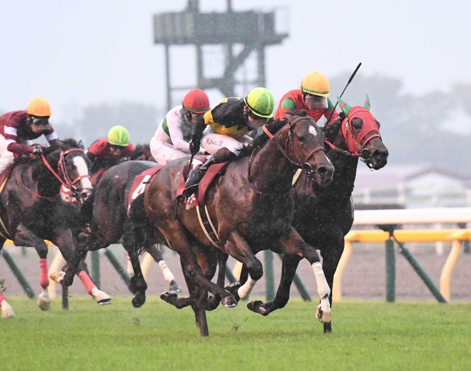 　京王杯２歳Ｓを制したパンジャタワー（中央）＝撮影・園田高夫