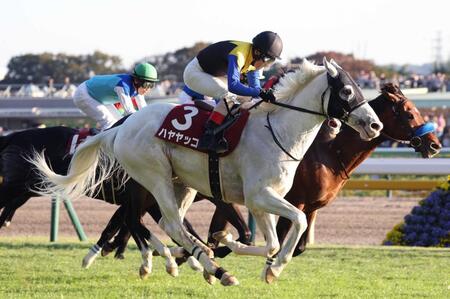 　大外から差し切るハヤヤッコ（手前）