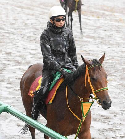 　血統的な魅力十分のシンリョクカ