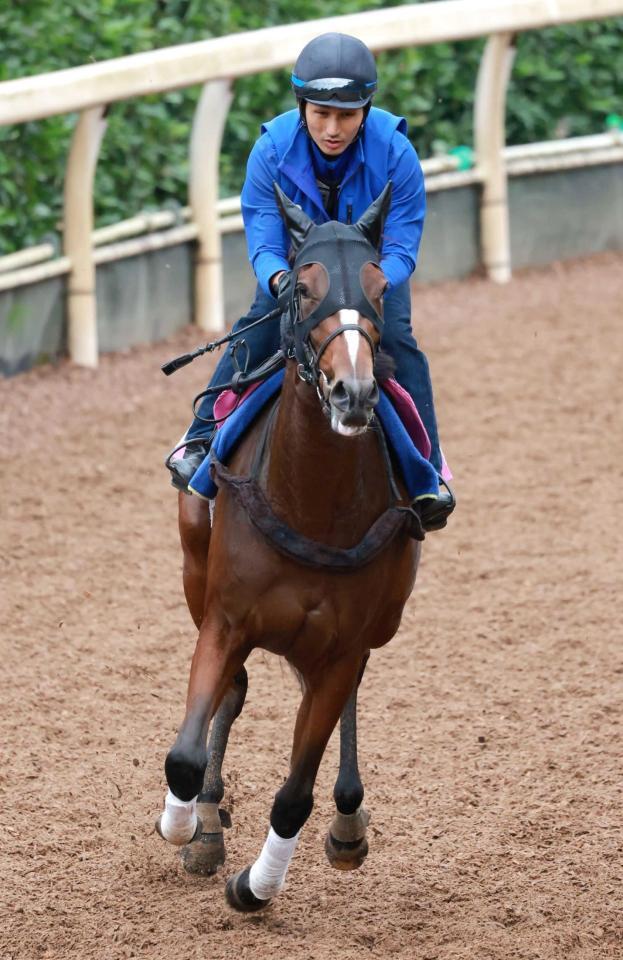 　牡馬相手に重賞初制覇を狙うロンドボス