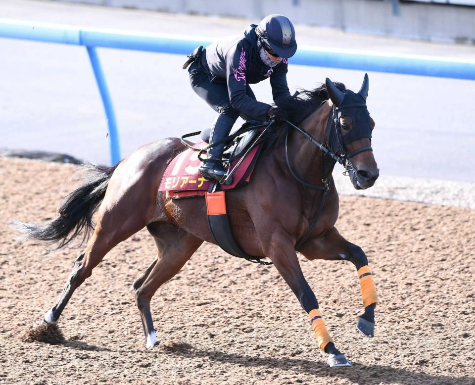 　年内で引退予定のモリアーナ