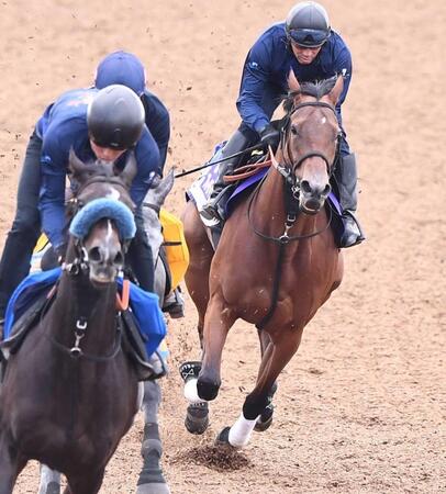 　３頭併せで好仕上がりを示したブレイディヴェーグ（右）＝撮影・園田高夫