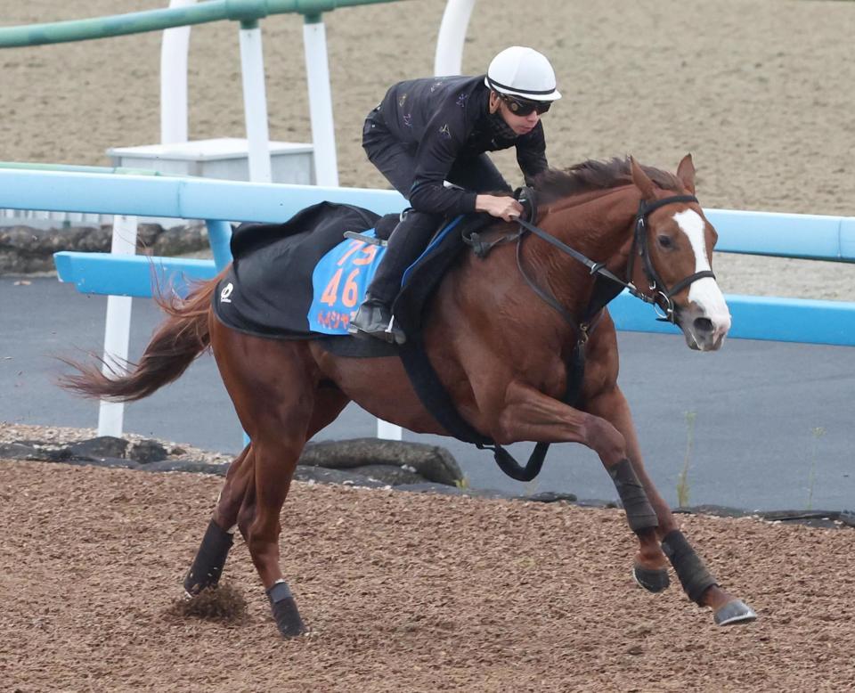 　横山和を背に追われるペイシャエス