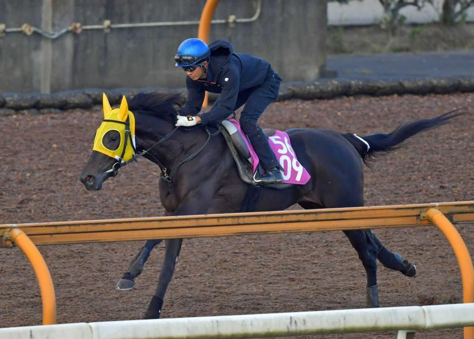 　幸を背に軽快な脚取りで栗東ＣＷを駆けたロヴィーサ