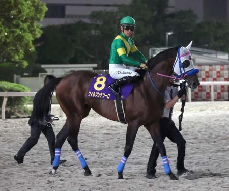 ＪＢＣクラシックでＧ１級競走初制覇のウィルソンテソーロは引き続き川田でチャンピオンズＣ参戦へ