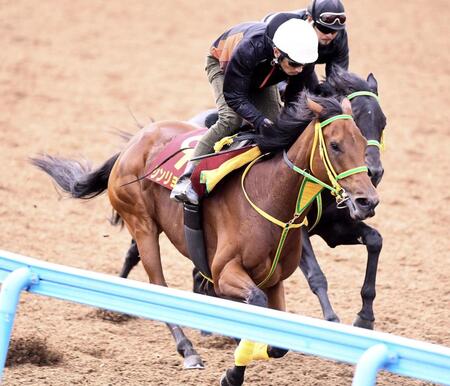 【エリザベス女王杯】馬場状態から浮上するのはこの馬だ