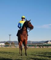 　デイリー杯２歳Ｓを制したランフォーヴァウ（撮影・石湯恒介）