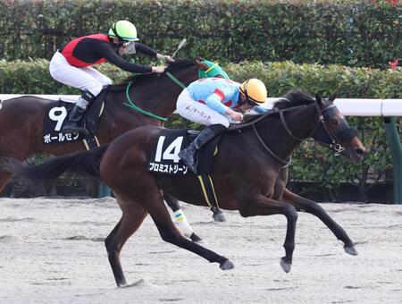 【オキザリス賞】プロミストジーン無傷２連勝　マーカンドが導く「すごくいい脚を使ってくれた」