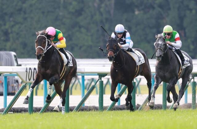 　新馬戦を快勝したエコロディノス（左）＝撮影・石湯恒介