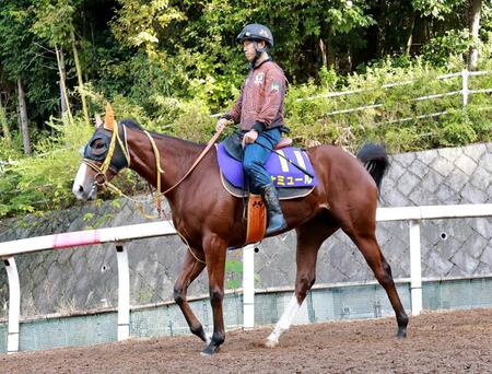 【マイルＣＳ】ナミュール　欧州最強マイラーを迎え撃つ！史上７頭目の連覇で復権だ　Ｃ・デムーロ「条件合っている」