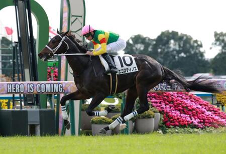 新馬戦を快勝したエコロディノス＝京都競馬場