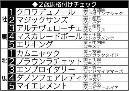 【２歳馬格付けチェック】牡馬４位にマスカレードボール　高い潜在能力に期待　牝馬２位にはブラウンラチェットが浮上