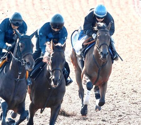 　３頭併せで鋭い反応を見せたブレイディヴェーグ（右）＝撮影・園田高夫