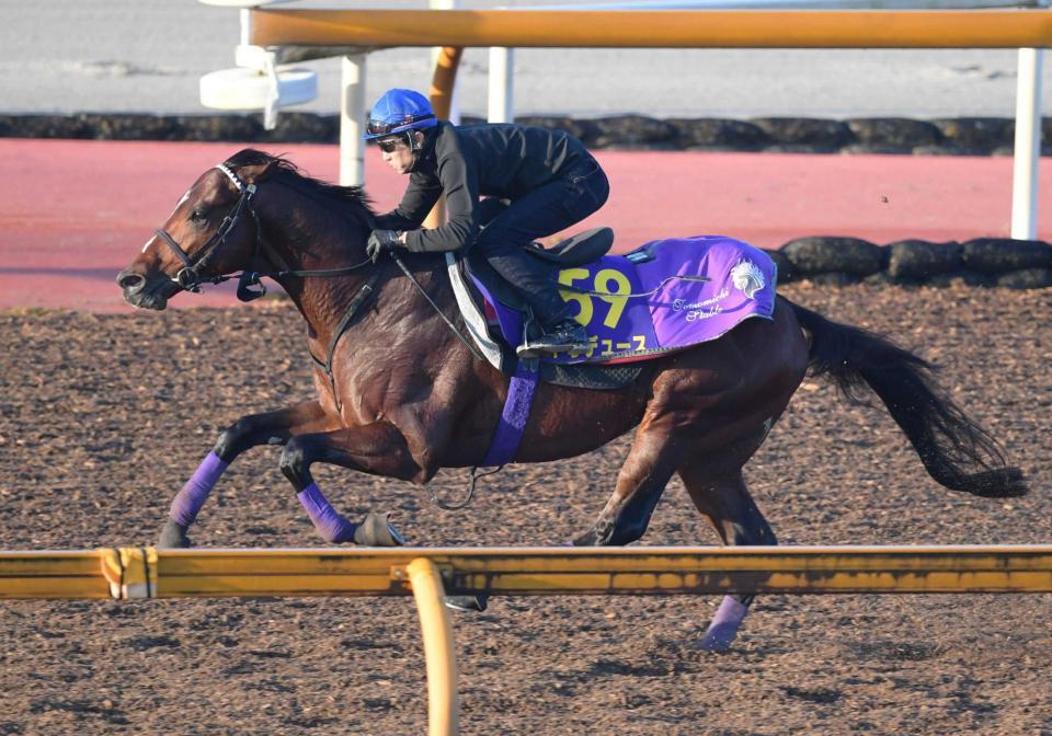 　栗東ＣＷで武豊を背に力強く伸びたドウデュース（撮影・石井剣太郎）