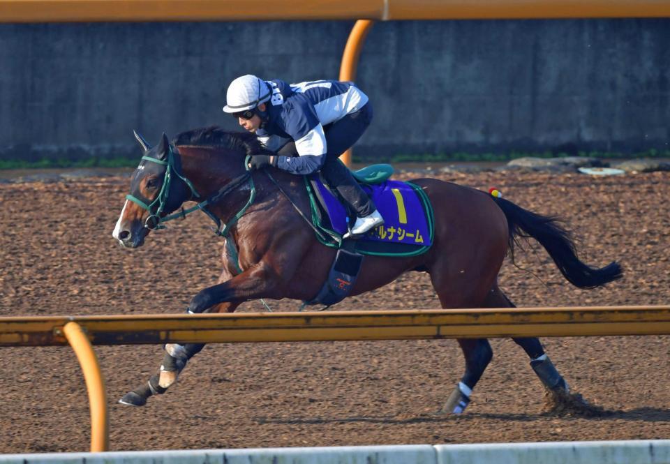 　Ｇ１初制覇へ向け、藤岡佑を背に追い切るアルナシーム＝撮影・石湯恒介