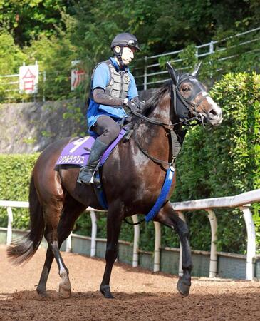 　悲願成就へ突き進むソウルラッシュ