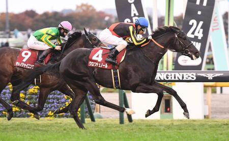 　東スポ杯２歳Ｓを制したクロワデュノール（撮影・園田高夫）