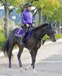 【マイルＣＳ】馬場状態から浮上するのはこの馬だ