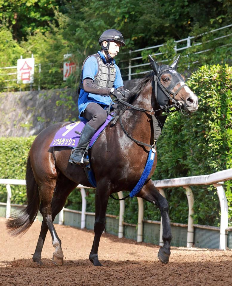 　悲願成就へ突き進むソウルラッシュ