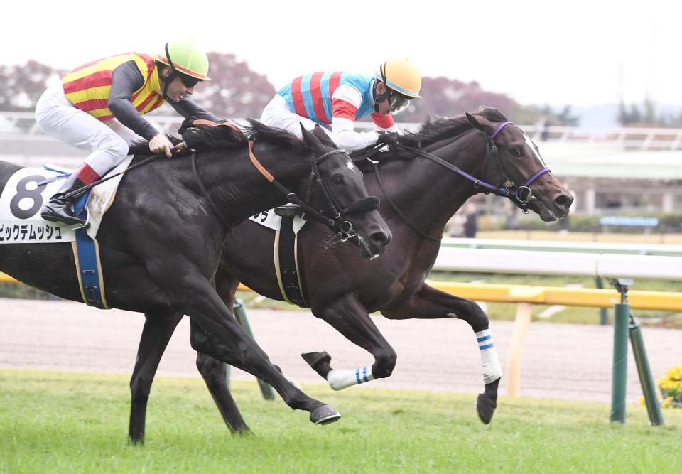 　２歳未勝利を制したジュンアサヒソラ（右）＝撮影・園田高夫