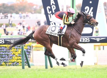 　新馬戦を圧勝したインプロペリア（撮影・園田高夫）